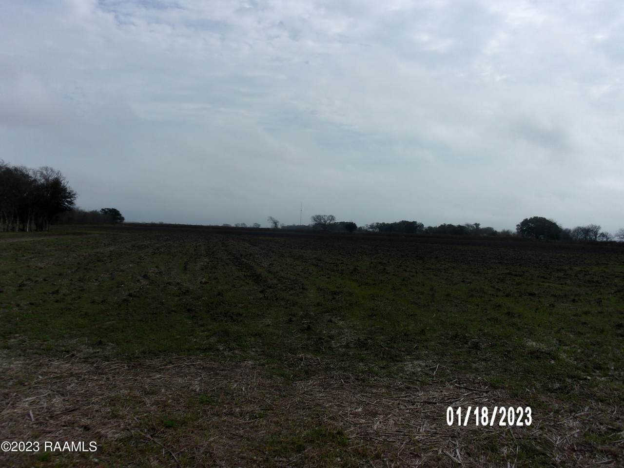 Tbd Dillon Rd Road - Photo 1