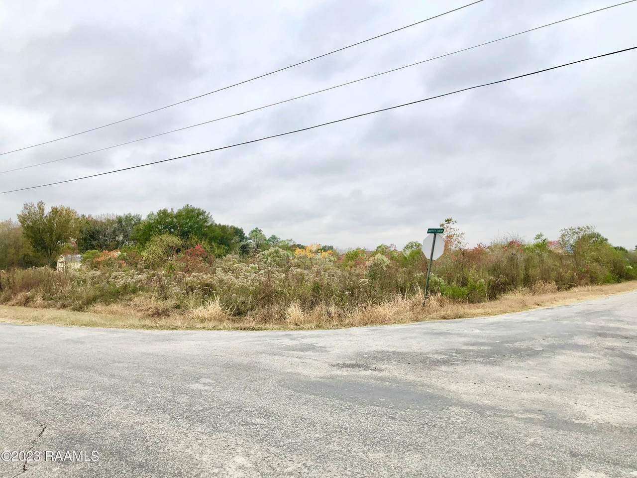 Tbd Motty Loop, Abbeville, LA 70510 (MLS 23010669) Keaty Real Estate