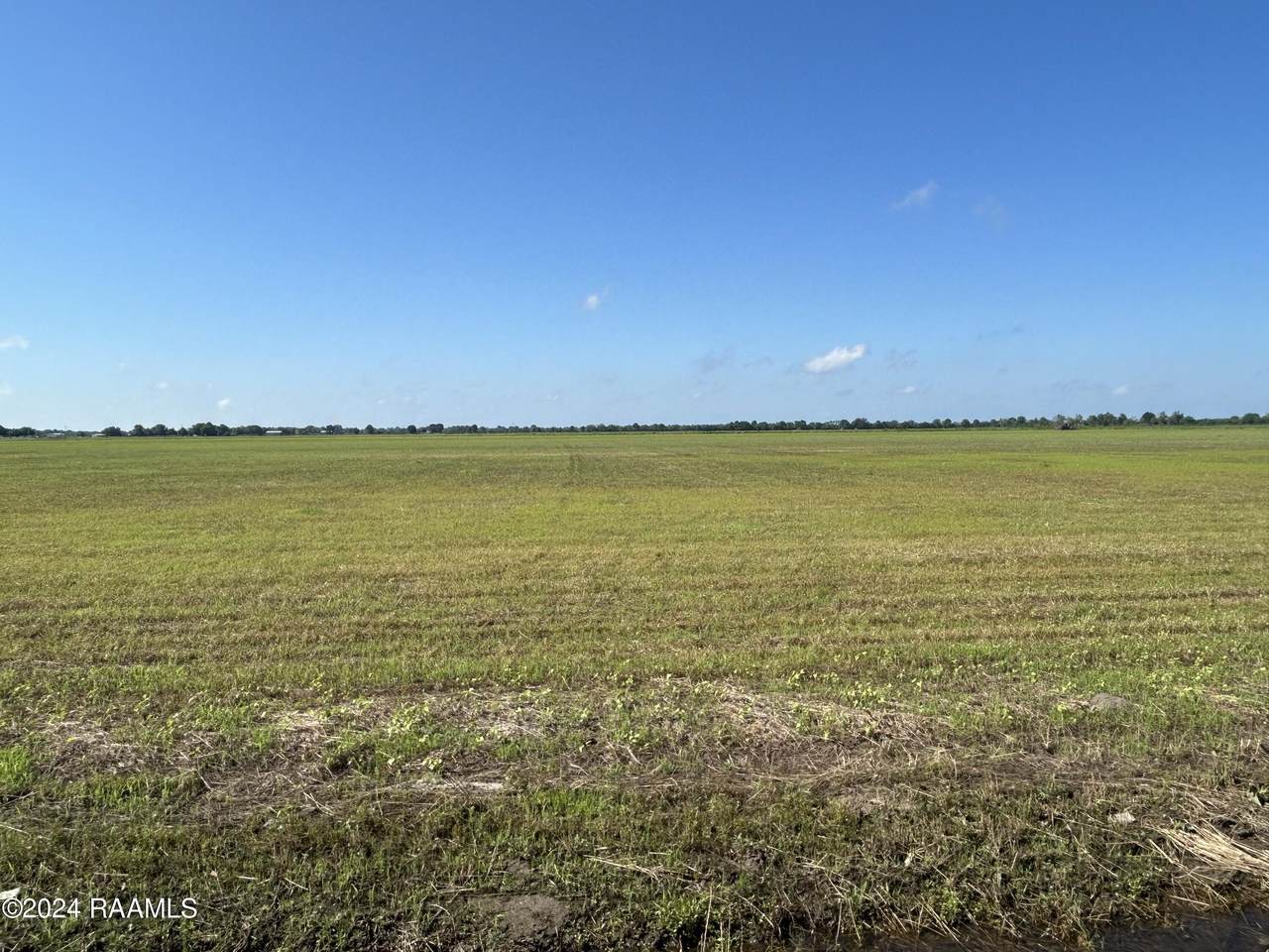 1327 Sellers Road - Photo 1
