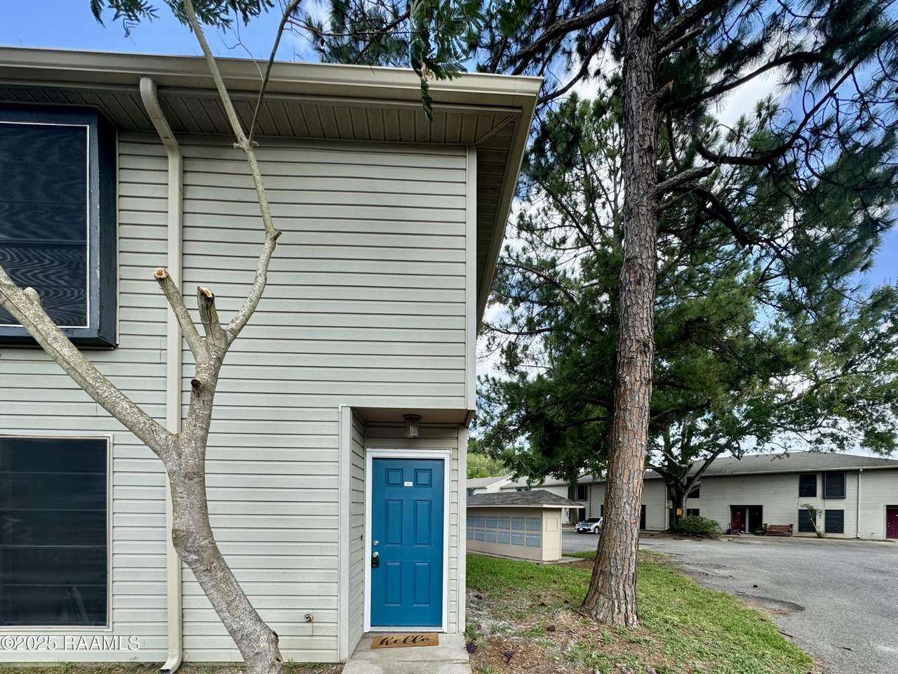 201 High Meadows Boulevard - Photo 1