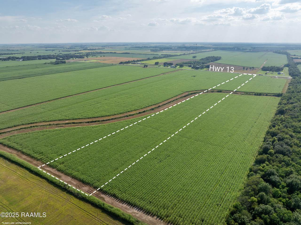 Tbd La Hwy 13 - Photo 1