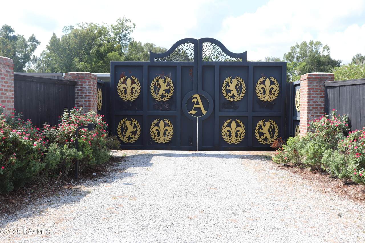 238 Napoleon Avenue - Photo 1