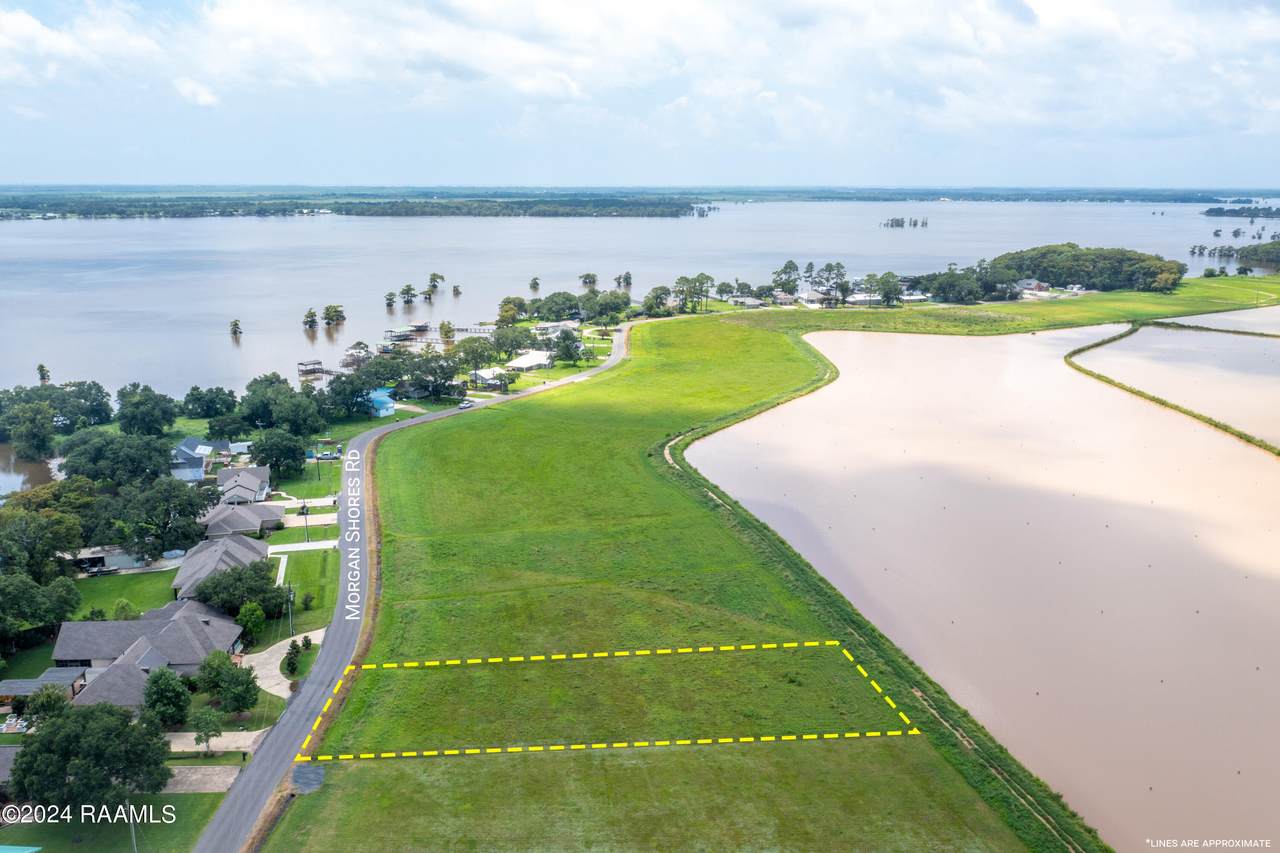 Lot 3 Morgan Shores Road - Photo 1