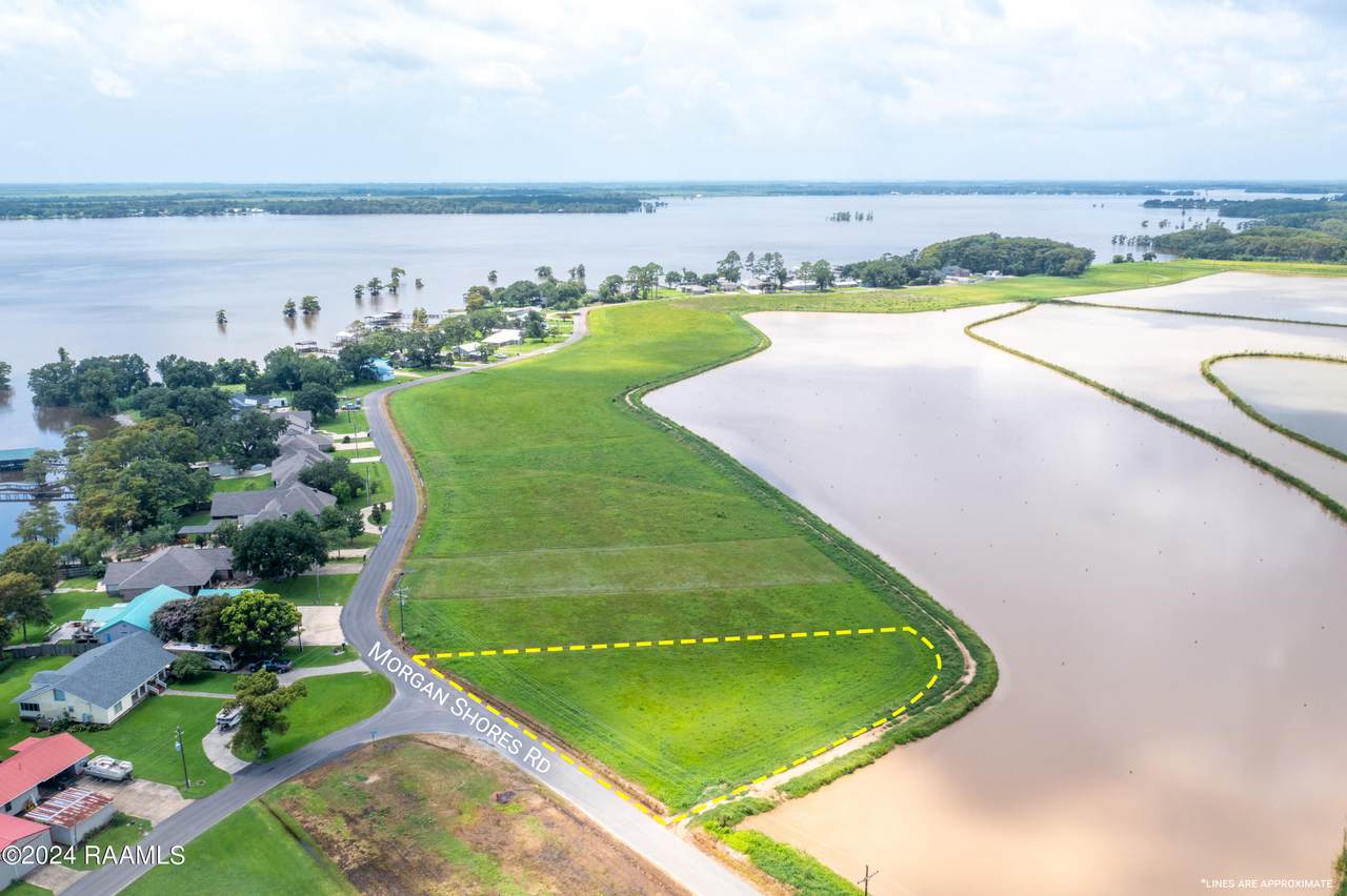 Lot 6 Morgan Shores Road - Photo 1