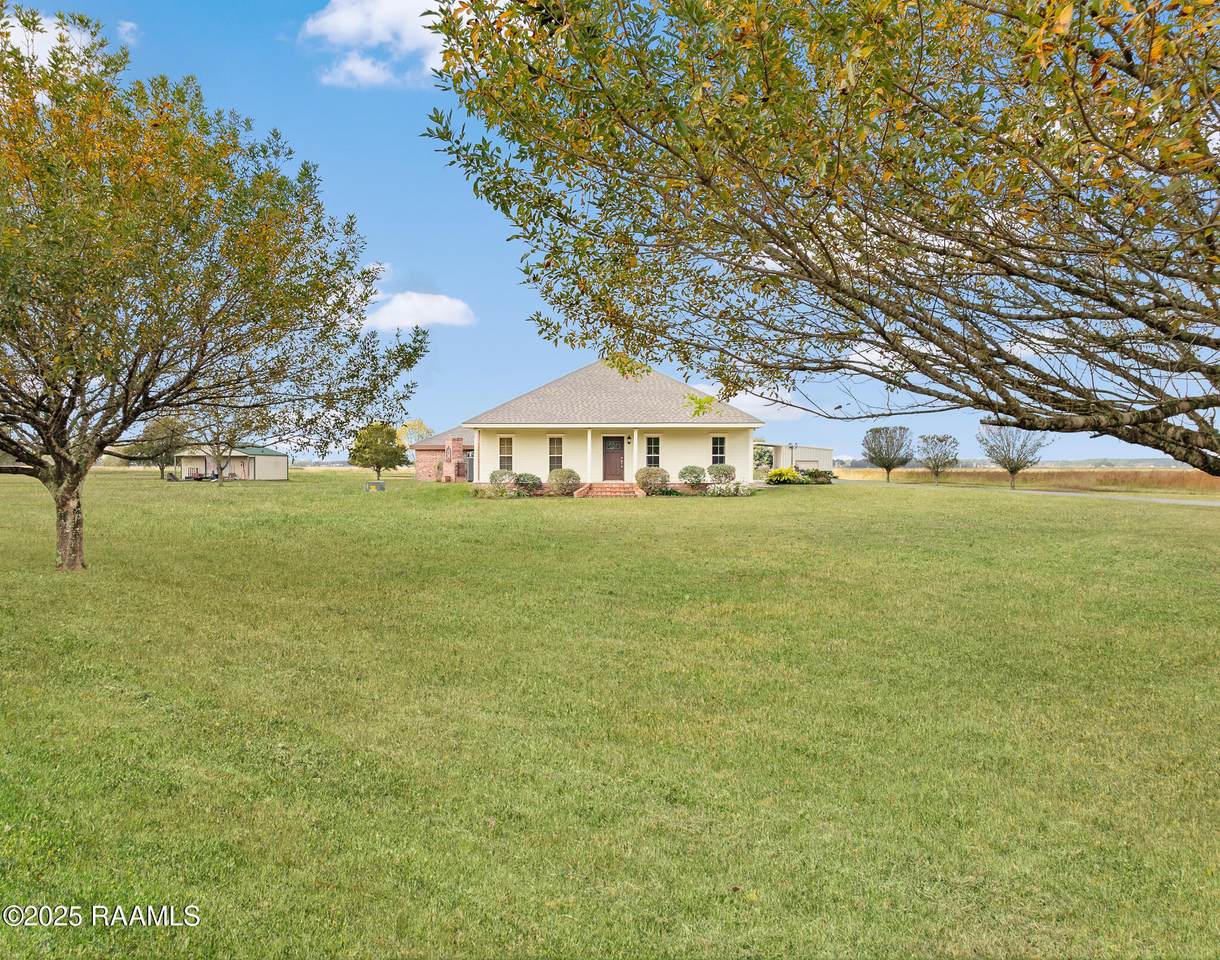 1049 Chinaberry Drive - Photo 1