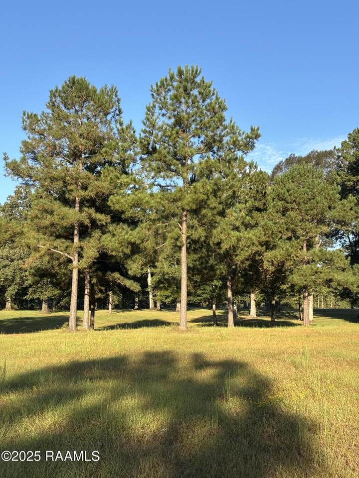 https://bt-photos.global.ssl.fastly.net/acadiana/1280_boomver_1_2500006460-2.jpg