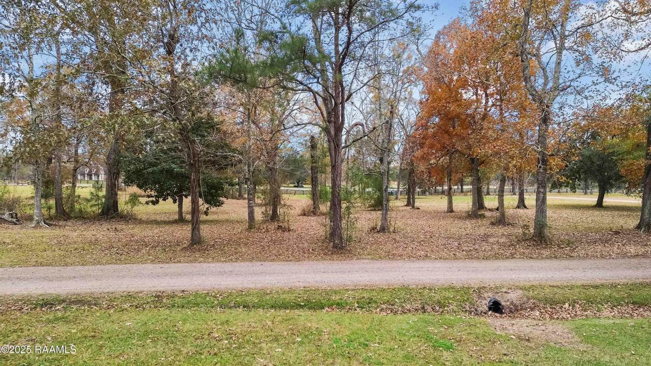 Tbd Oakridge Ranch Road - Photo 1