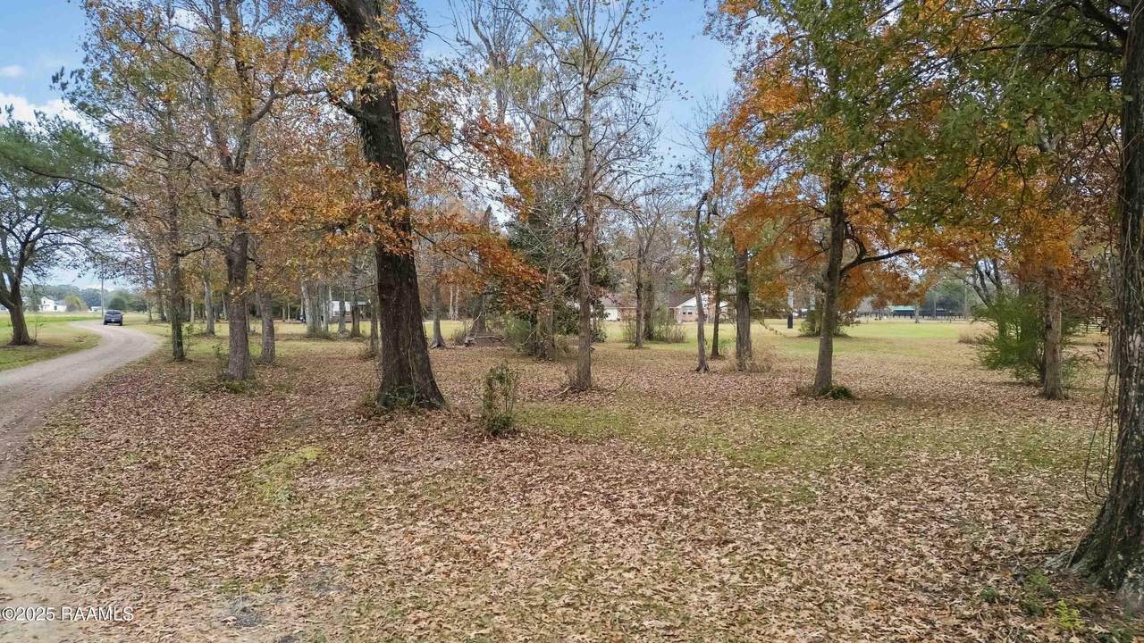 https://bt-photos.global.ssl.fastly.net/acadiana/1280_boomver_1_2500006497-2.jpg