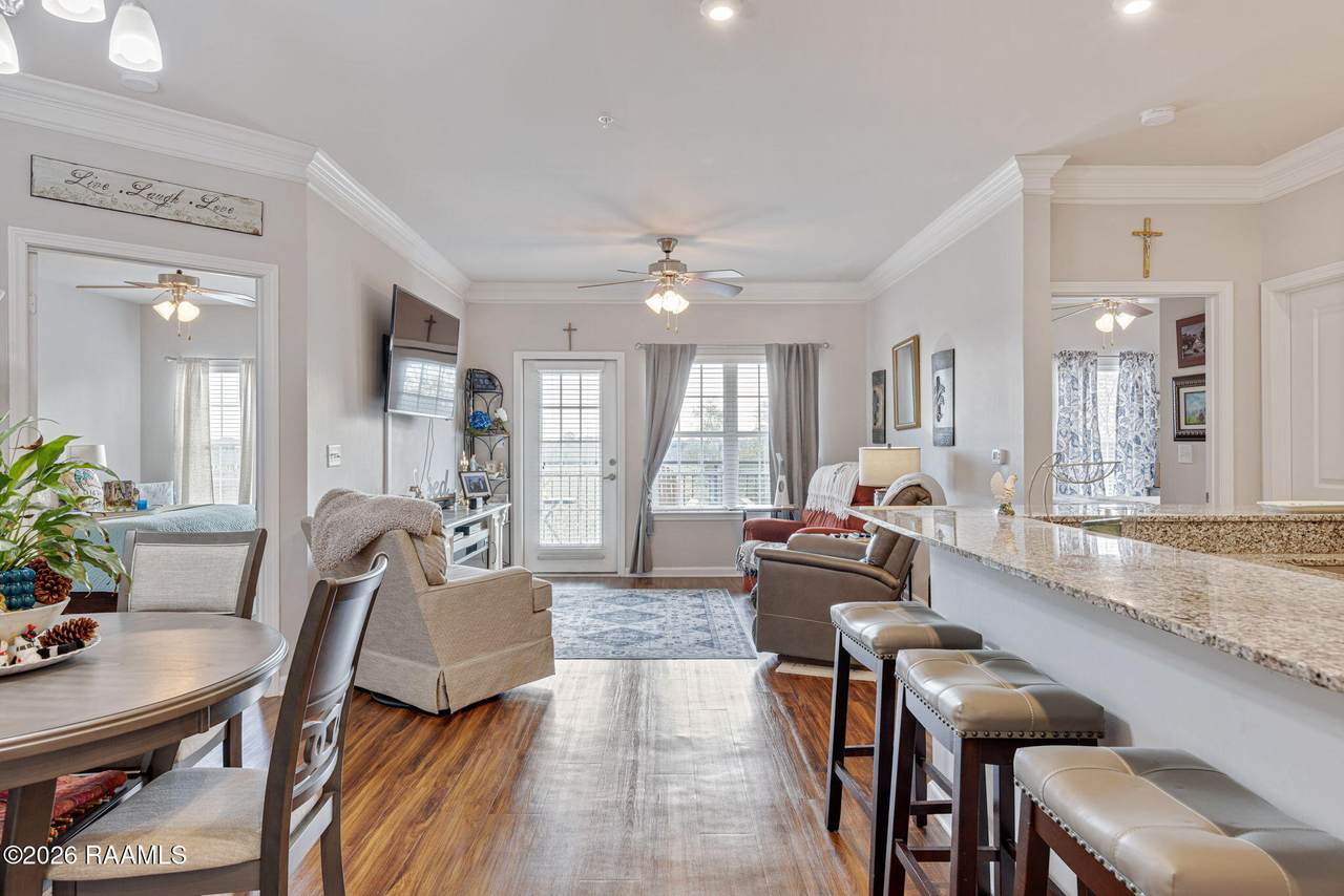 1521 Camellia Boulevard - Photo 1