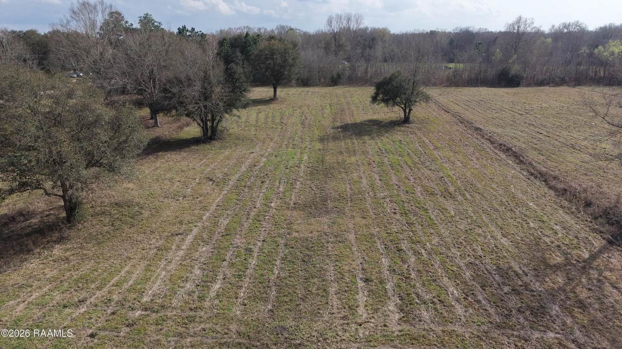 https://bt-photos.global.ssl.fastly.net/acadiana/1280_boomver_1_2600001302-2.jpg