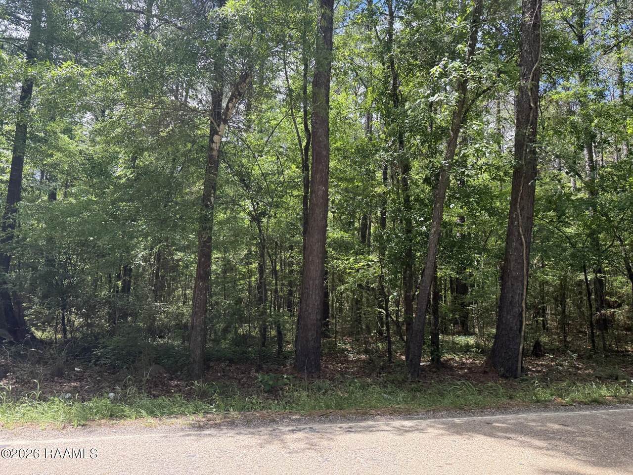Tbd Oakdale Tracts 1 & 3 Road - Photo 1