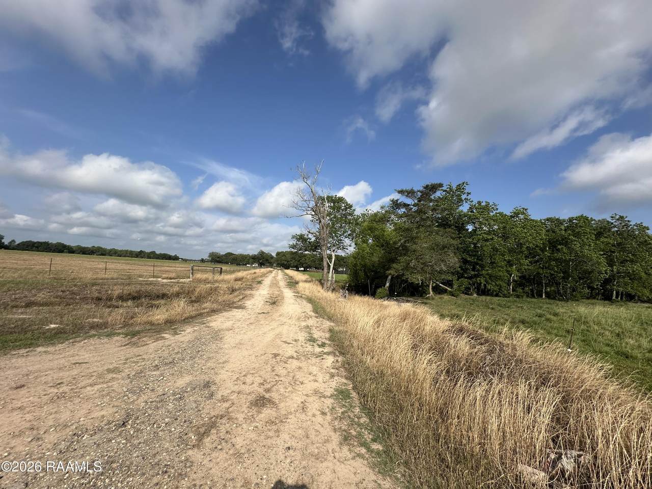 https://bt-photos.global.ssl.fastly.net/acadiana/1280_boomver_1_2600003649-2.jpg