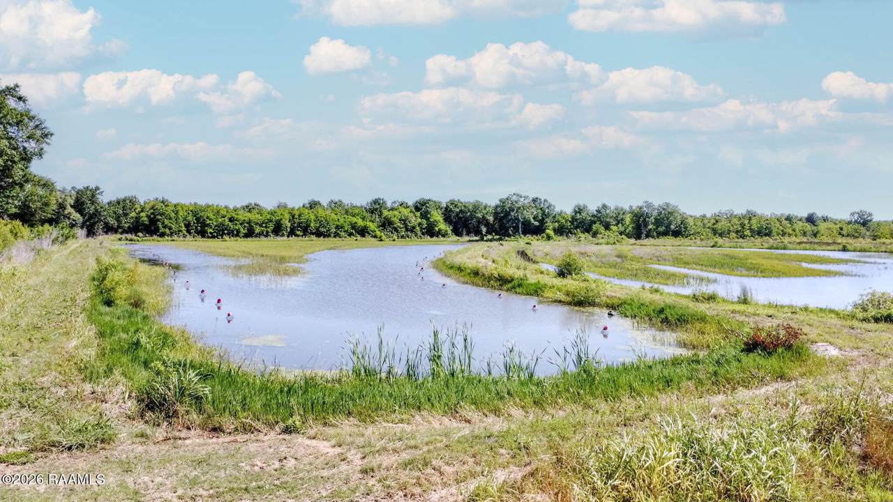 https://bt-photos.global.ssl.fastly.net/acadiana/1280_boomver_1_2600003959-2.jpg