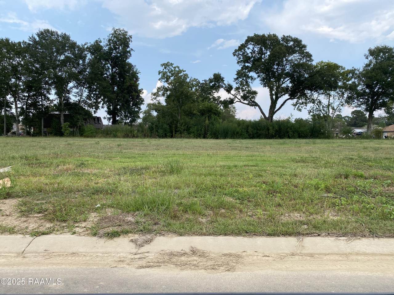 110 Leaning Oak Drive - Photo 1