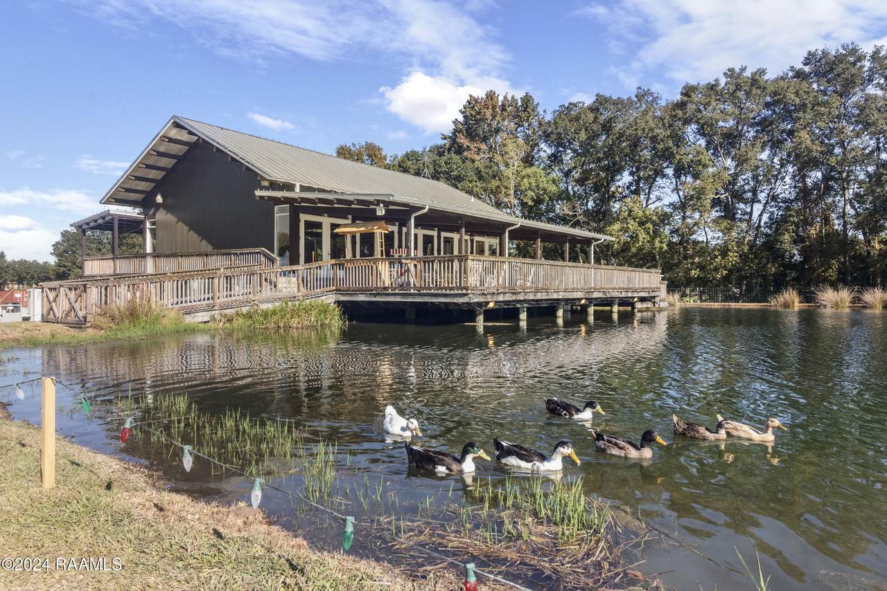 https://bt-photos.global.ssl.fastly.net/acadiana/1280_boomver_1_2600005379-2.jpg