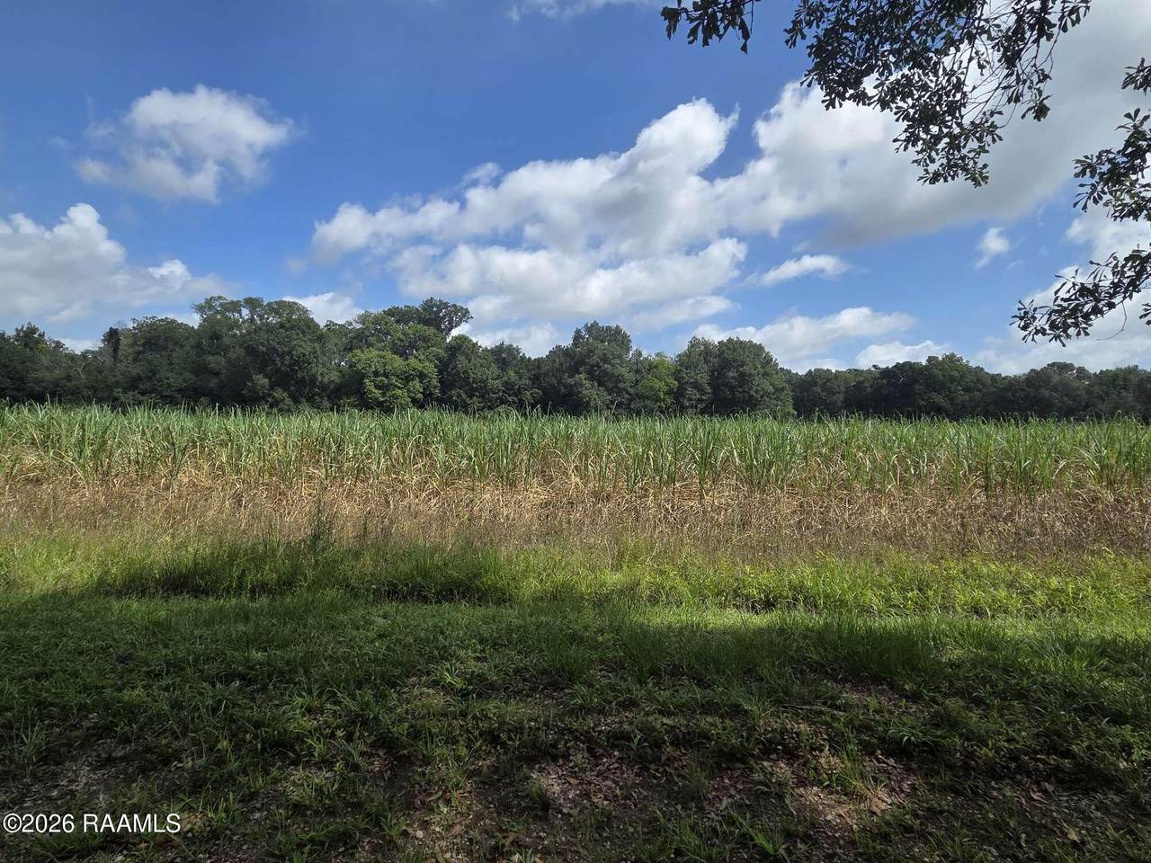 https://bt-photos.global.ssl.fastly.net/acadiana/1280_boomver_1_2600005668-2.jpg