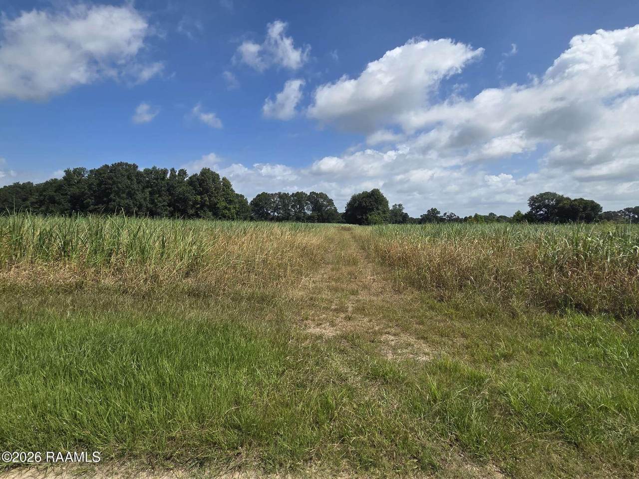 https://bt-photos.global.ssl.fastly.net/acadiana/1280_boomver_1_2600005668-2.jpg