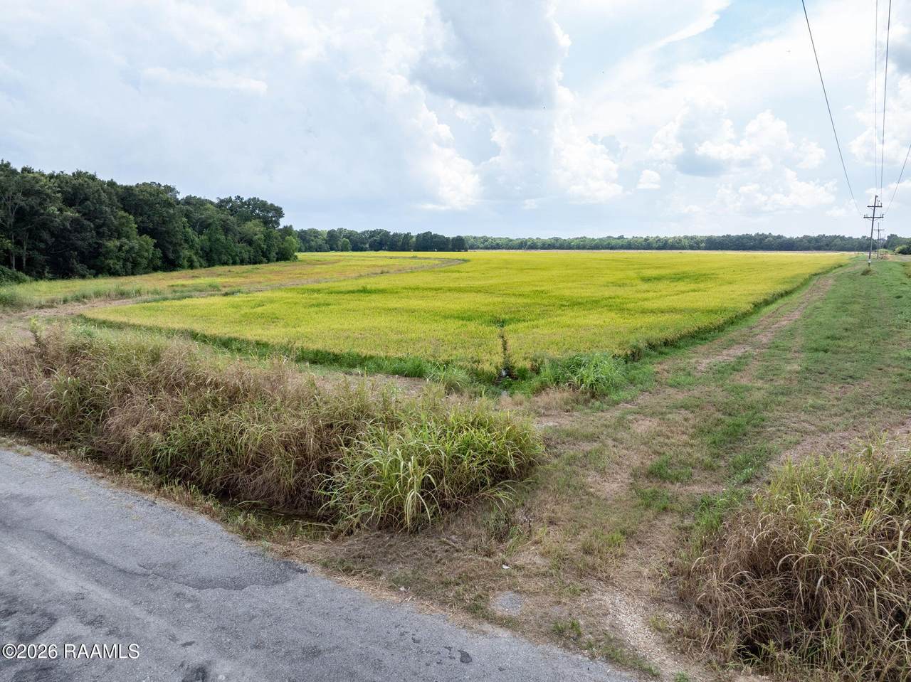 Tbd Leger Road - Photo 1