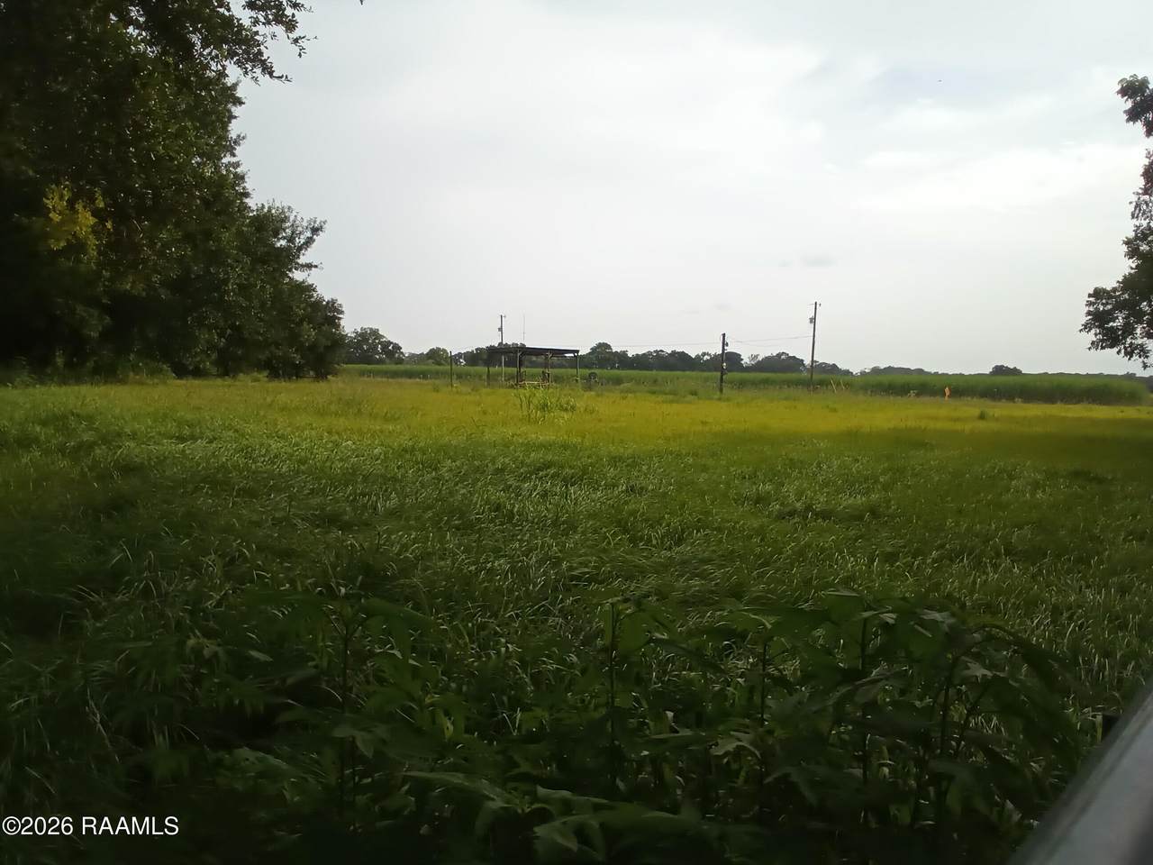 https://bt-photos.global.ssl.fastly.net/acadiana/1280_boomver_1_2600006567-2.jpg