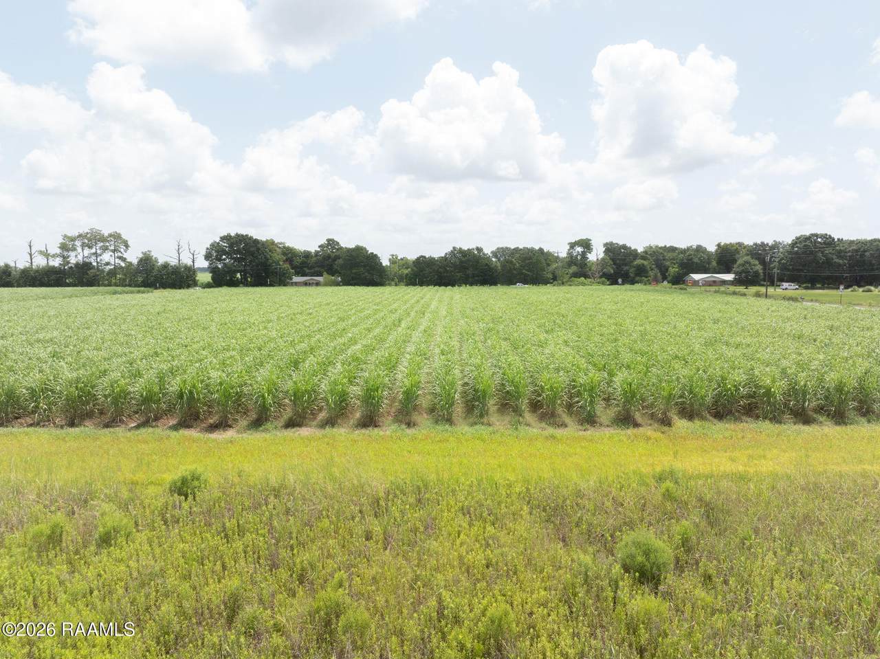 Tbd Louisiana 338 - Photo 1