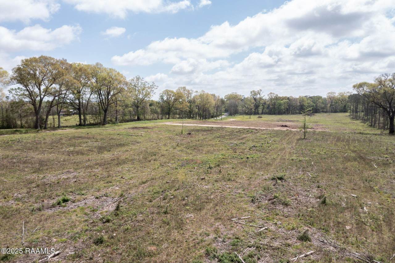 Tbd La Hwy 103 Lot 2 - Photo 1