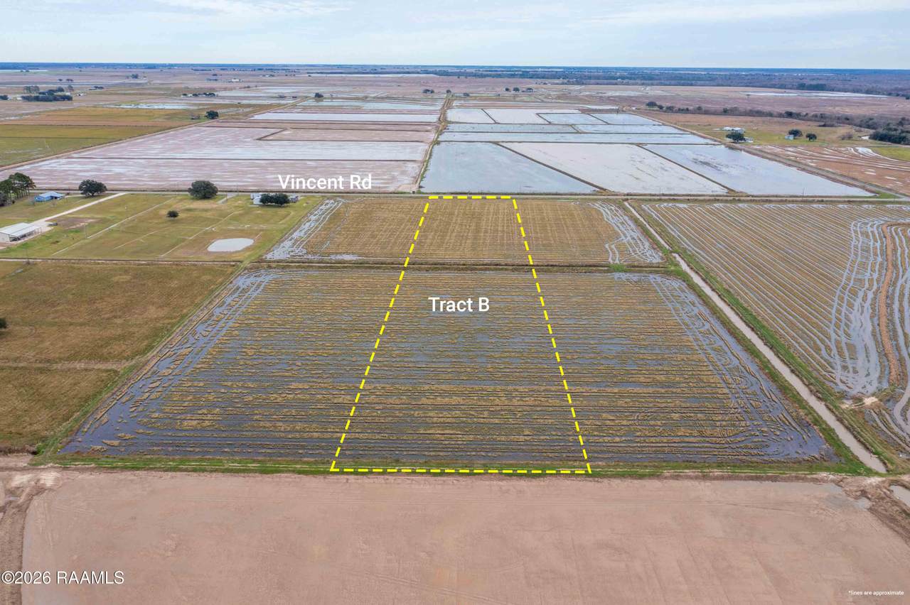 Tract B Vincent Road - Photo 1