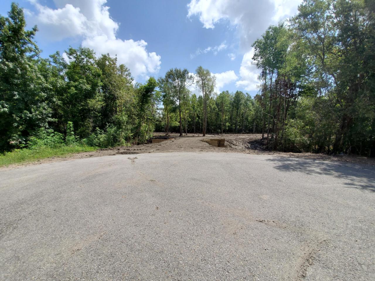 Tbd Hollow Oaks Road - Photo 1
