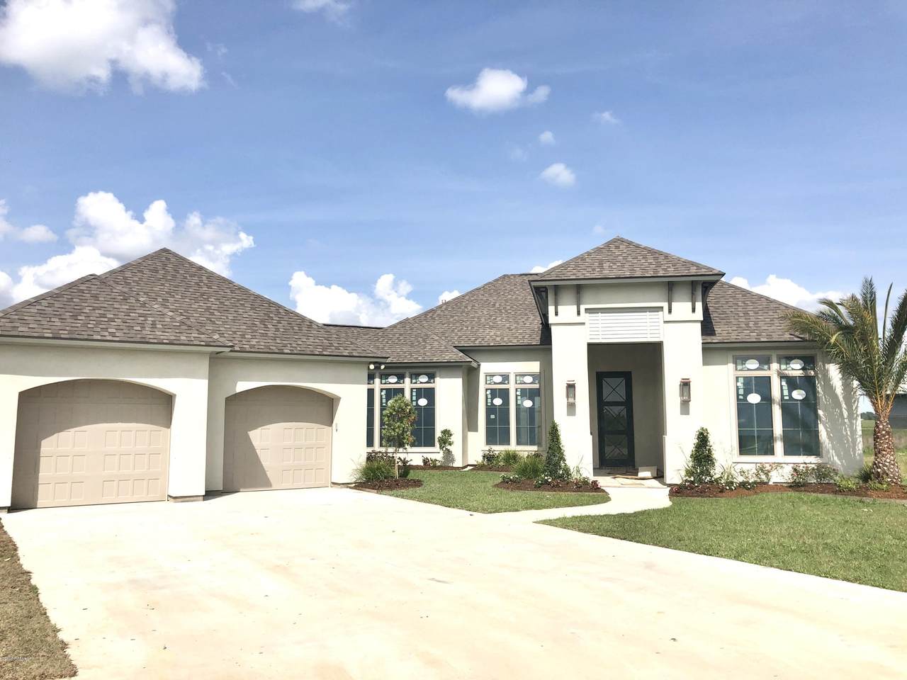 103 Lake Fountain Lane - Photo 1