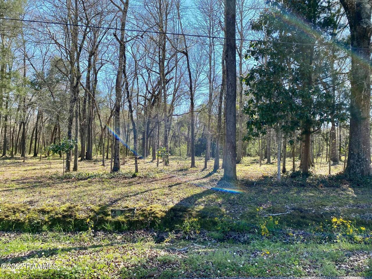 513 Evelyn Street - Photo 1