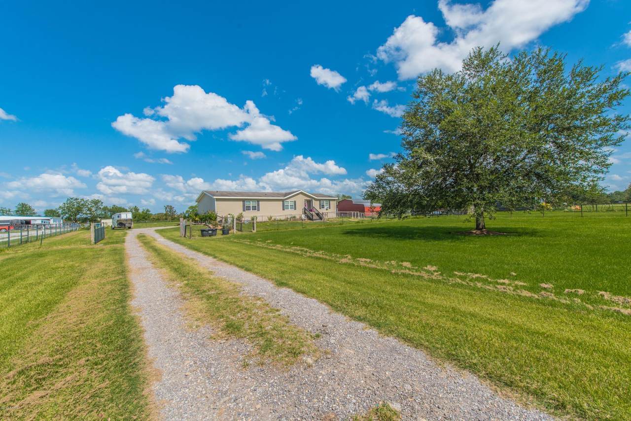 359 Mushroom Road - Photo 1