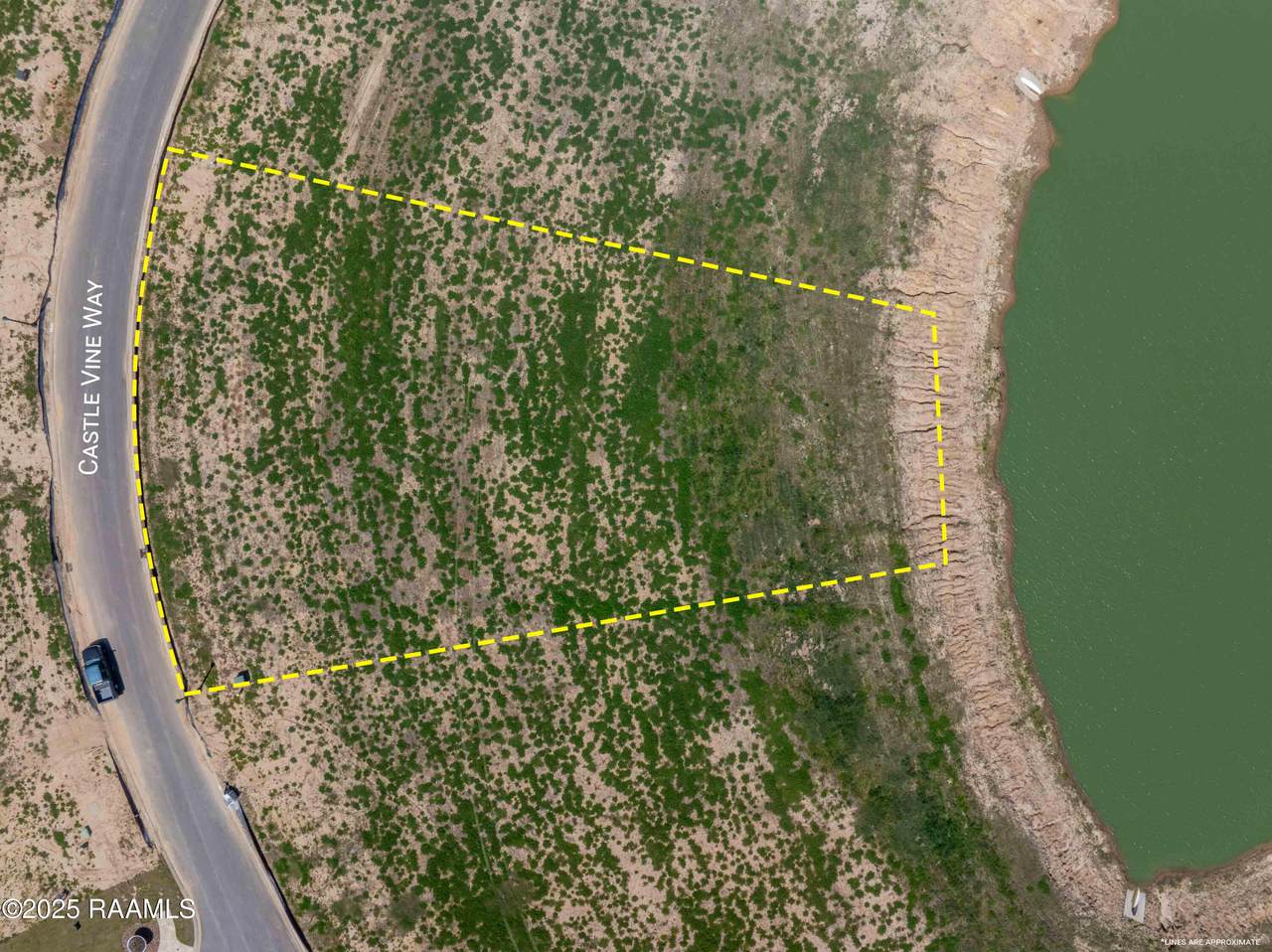 123 Castle Vine Way - Photo 1