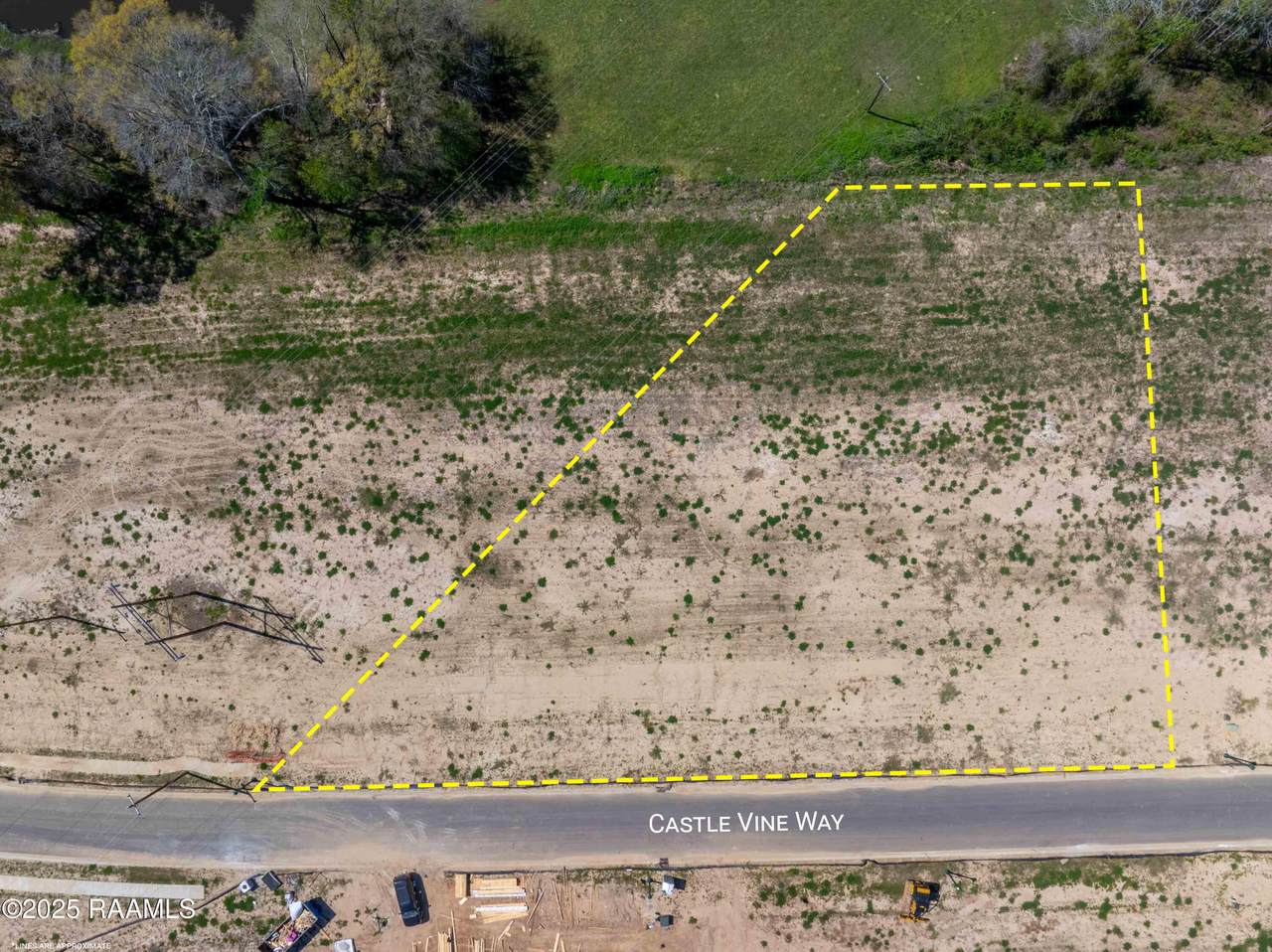 108 Castle Vine Way - Photo 1