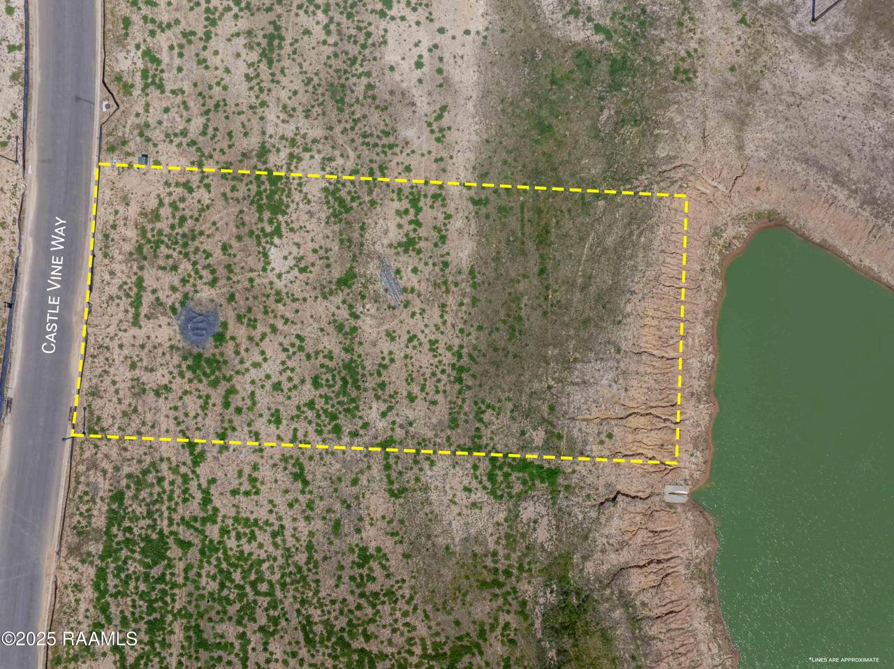 119 Castle Vine Way - Photo 1