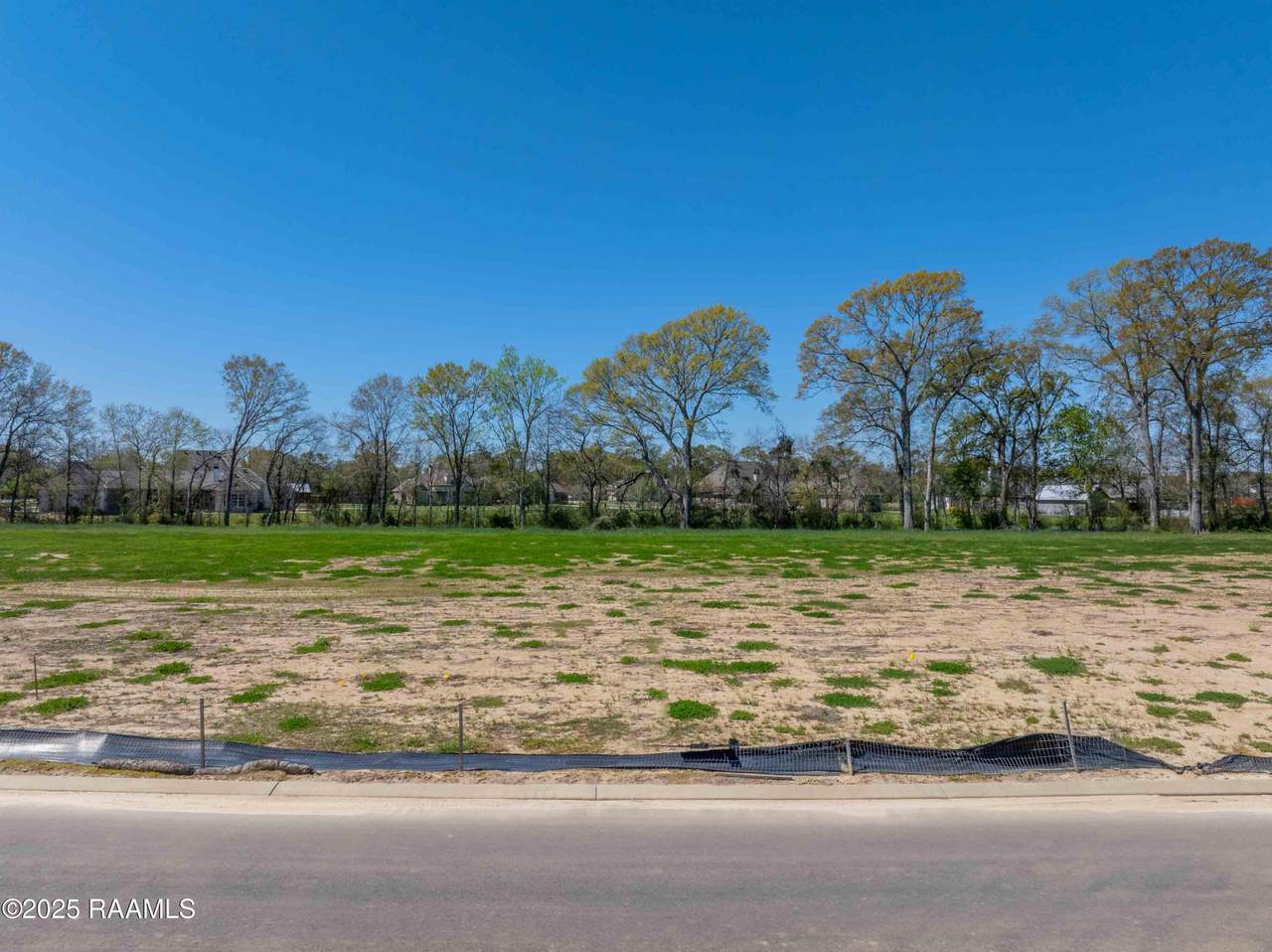 120 Castle Vine Way - Photo 1