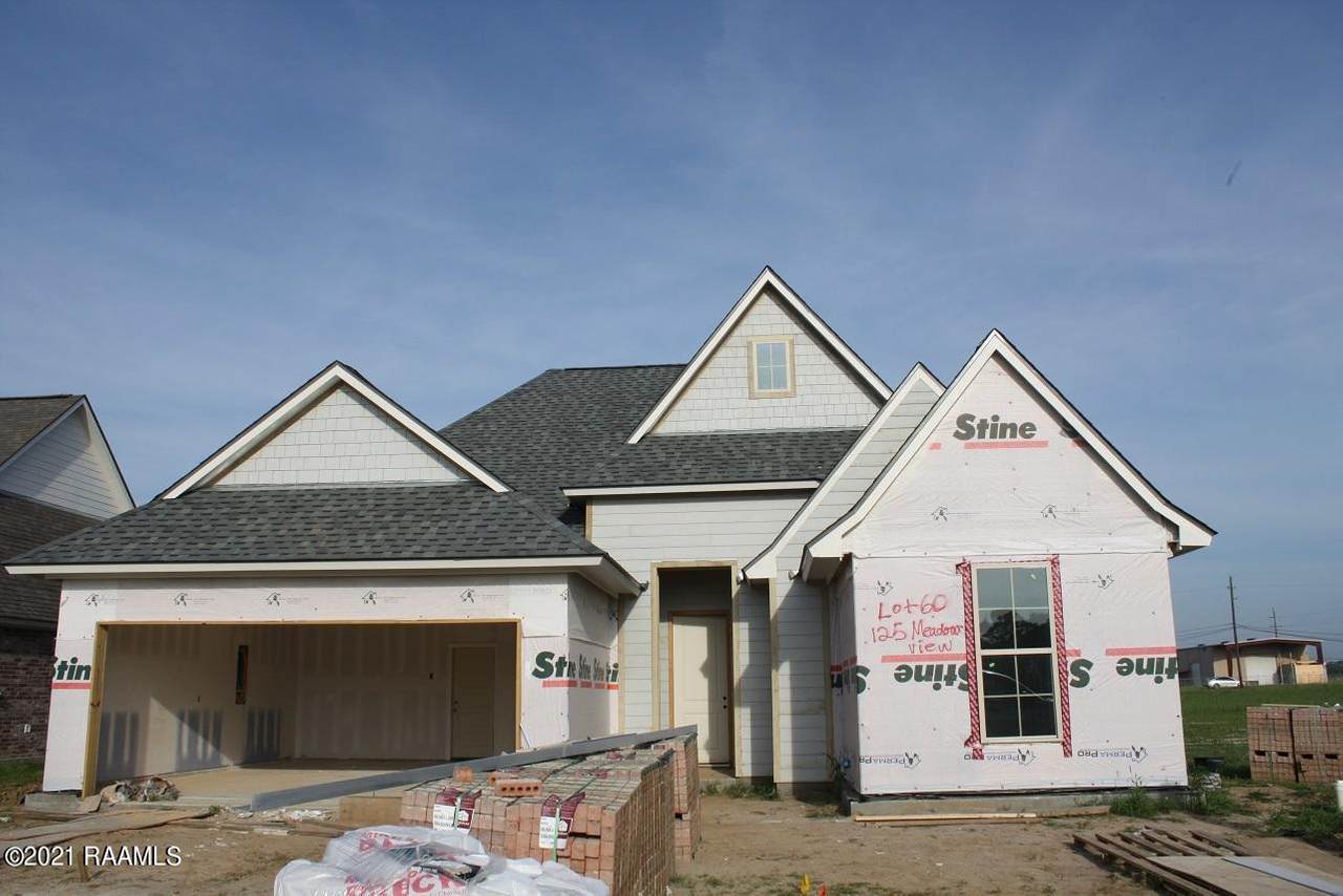 125 Meadow View - Photo 1