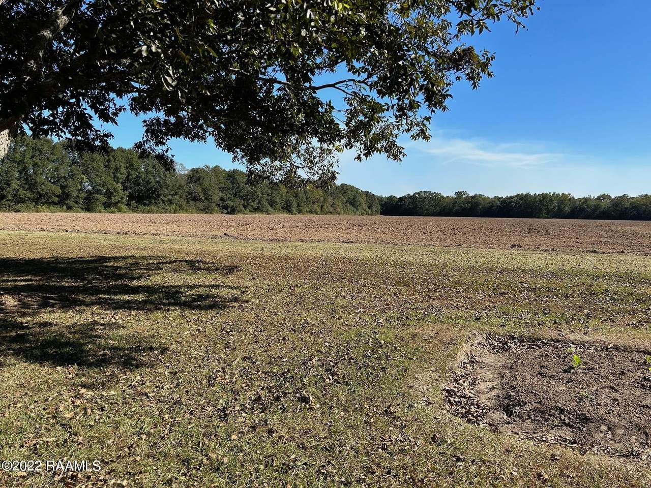 Tbd Ti Adam Guidry Road - Photo 1
