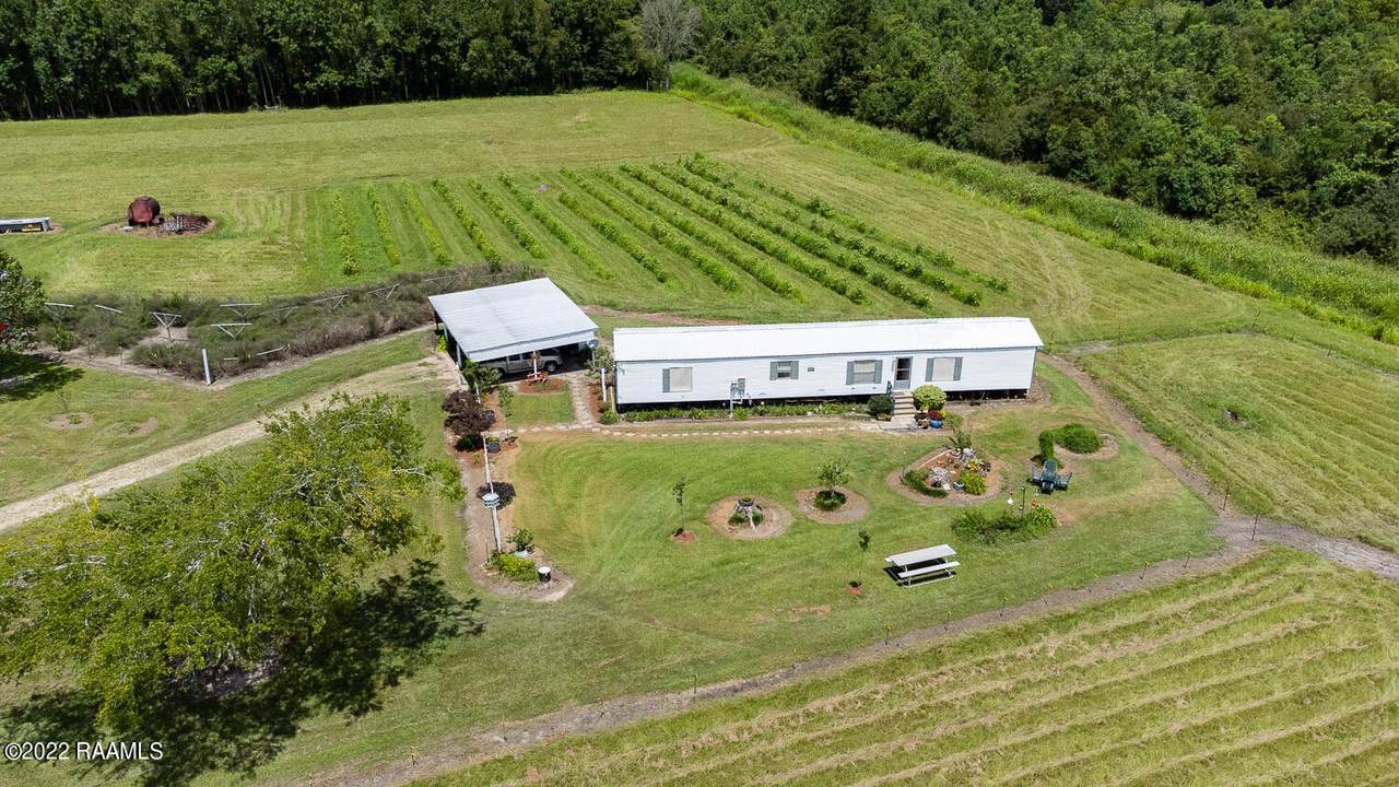 1211 Grand Anse Hwy - Photo 1