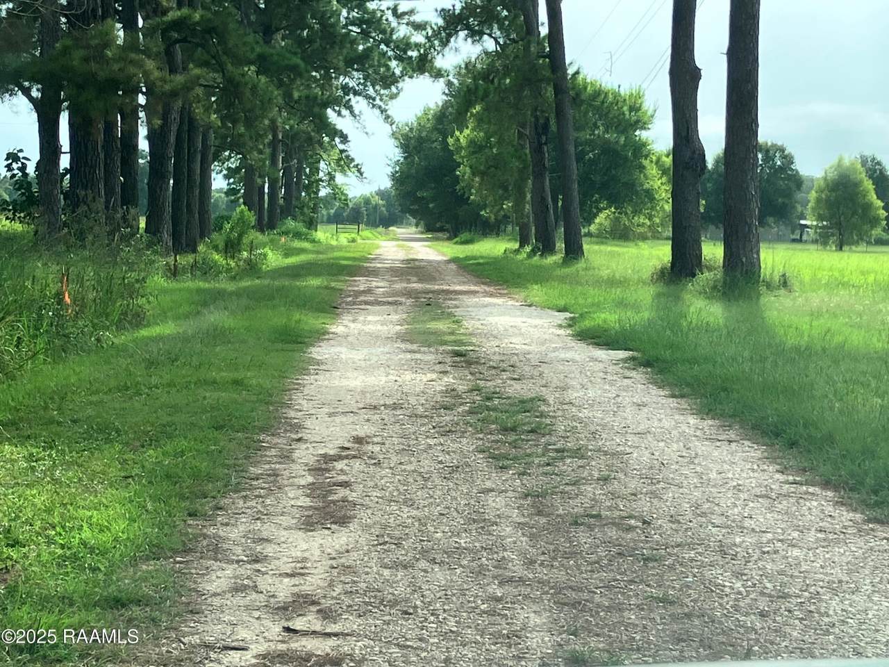 https://bt-photos.global.ssl.fastly.net/acadiana/1280_boomver_2_2500000674-2.jpg