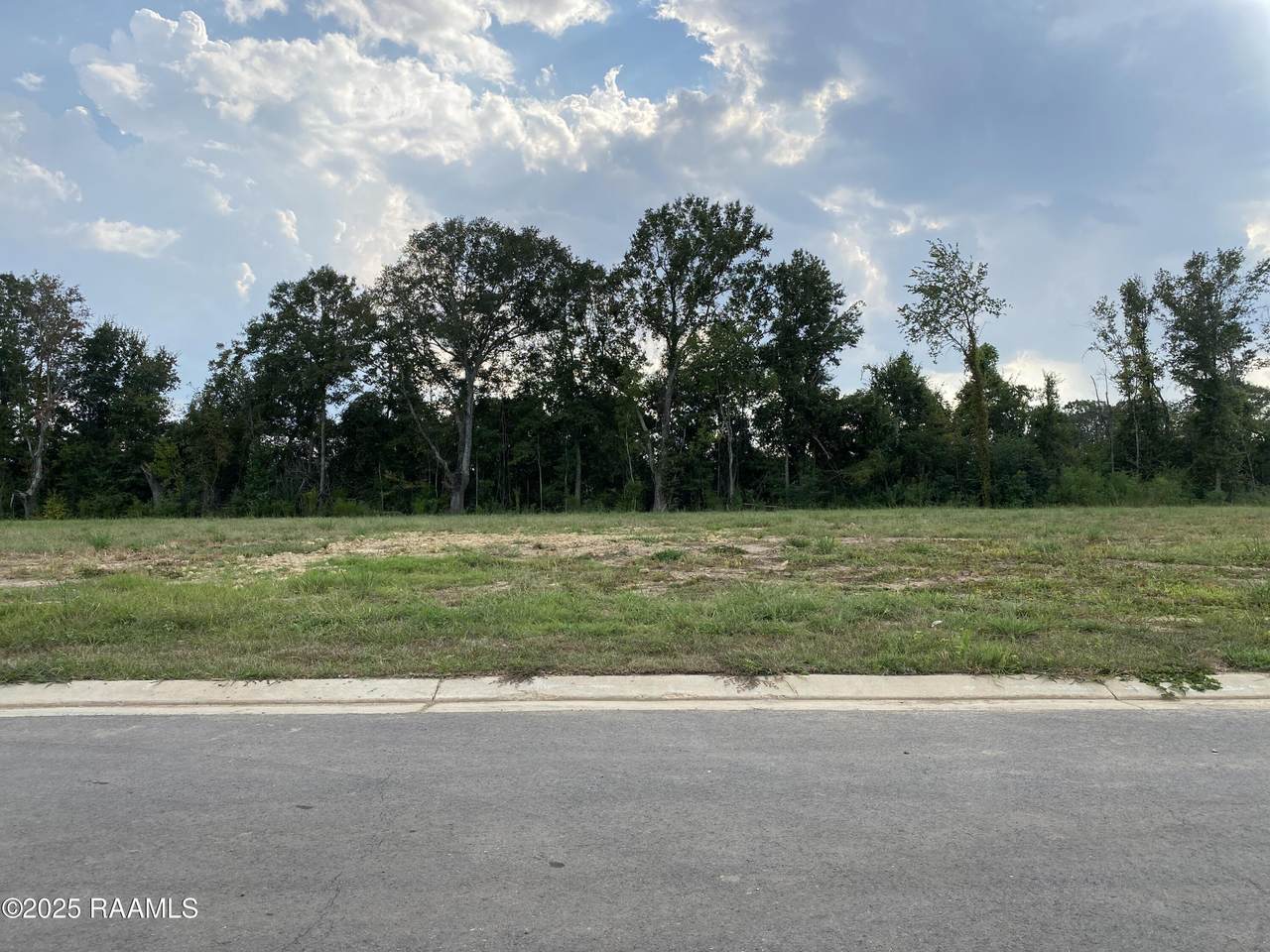 121 Leaning Oak Drive - Photo 1