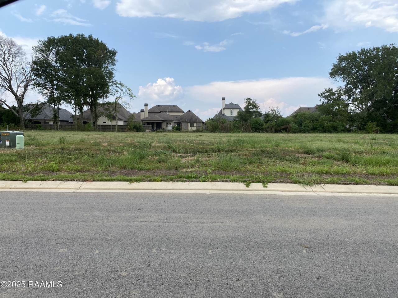 204 Leaning Oak Drive - Photo 1