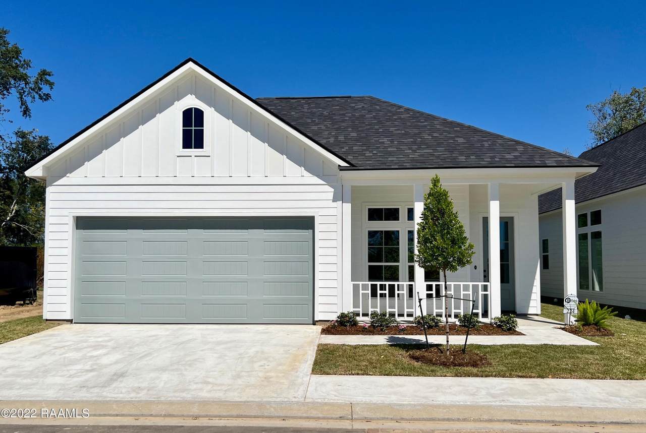 224 Jagged Grove Lane - Photo 1