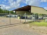 203 Glaser Drive - Photo 44