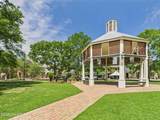 1127 Camellia Boulevard - Photo 40