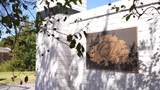 103 Park Ridge Lane - Photo 1