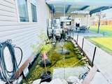 101 Amaretto Drive - Photo 29