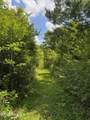 Tbd Frozard Road - Photo 10