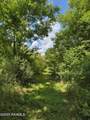 Tbd Frozard Road - Photo 11