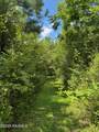 Tbd Frozard Road - Photo 12