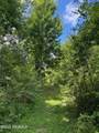 Tbd Frozard Road - Photo 7