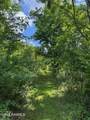 Tbd Frozard Road - Photo 9